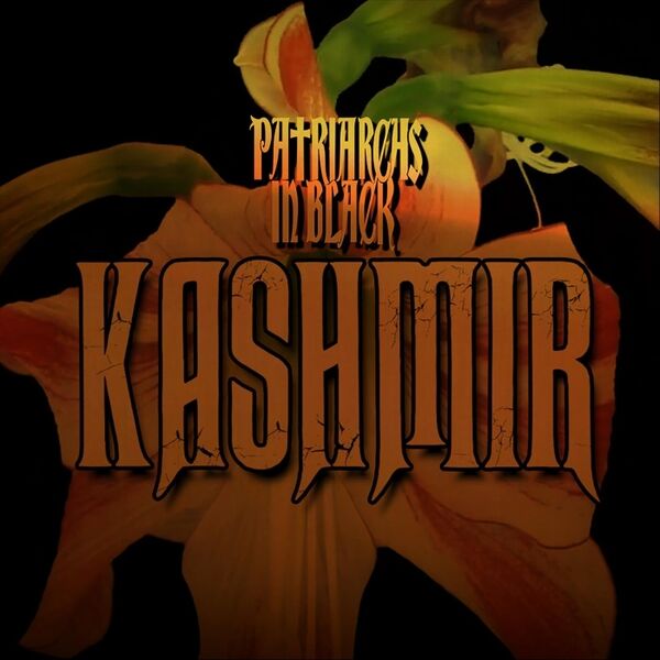 Cover art for Kashmir